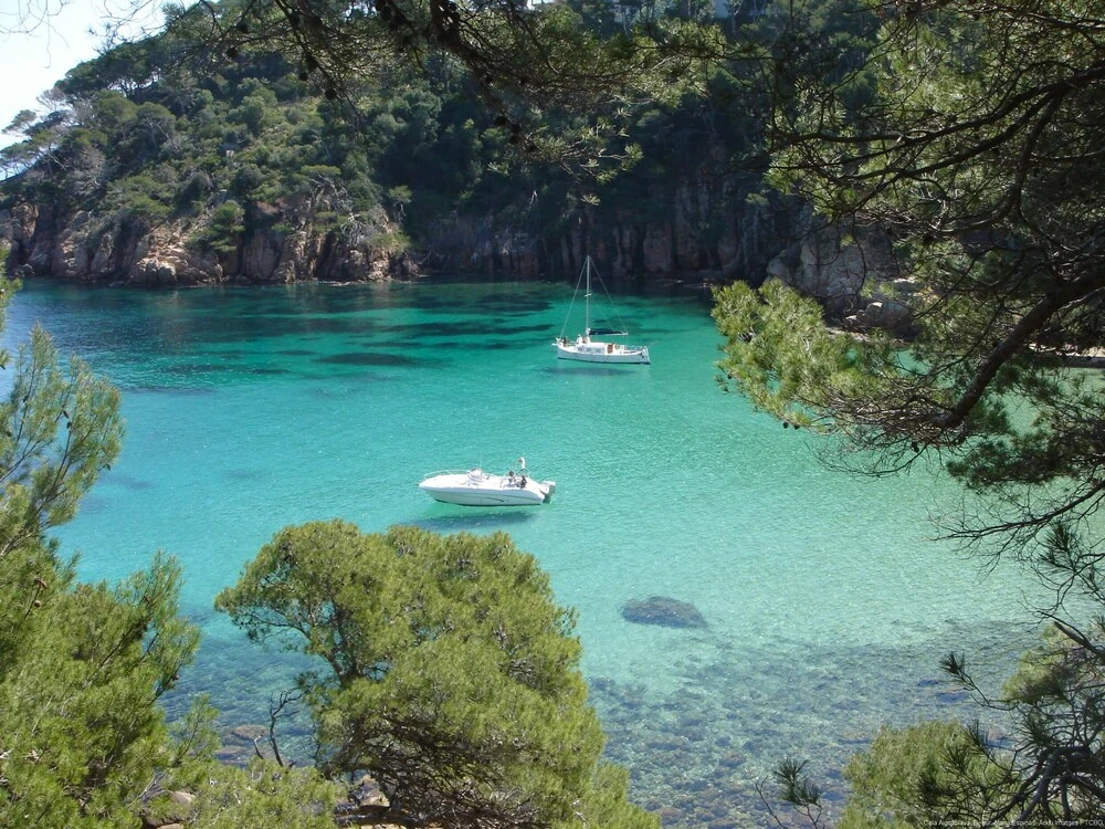 Estudis Laura