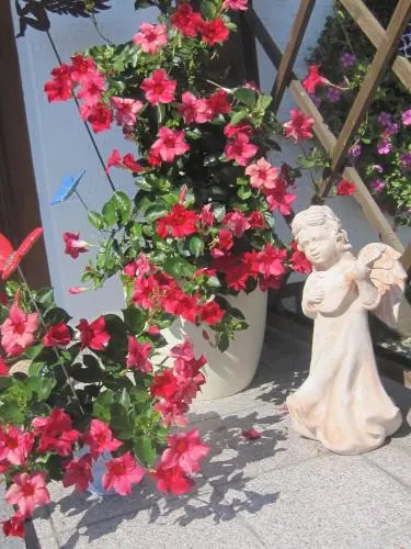 Erwachsenen Aparthotel DER WIESERHOF Wunderschöne Einzellage