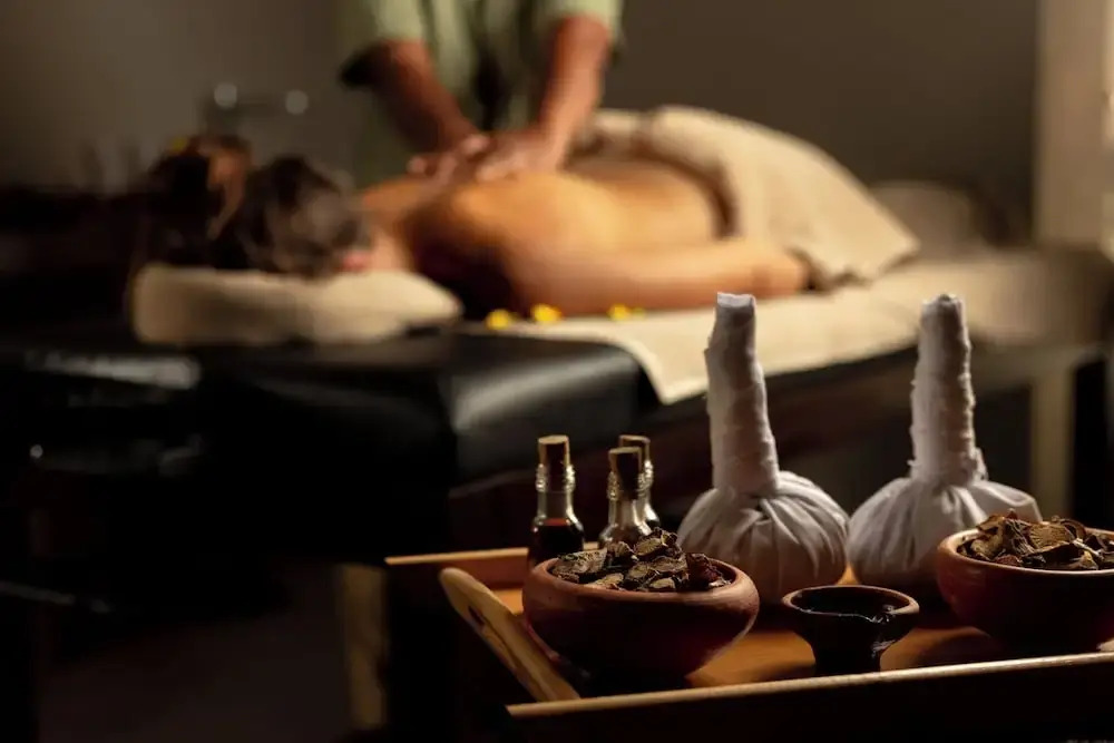 Ayugiri Ayurveda Wellness Resort