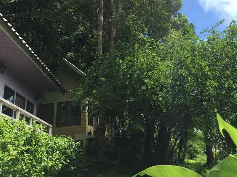 Sankampang Hot Spring Hill