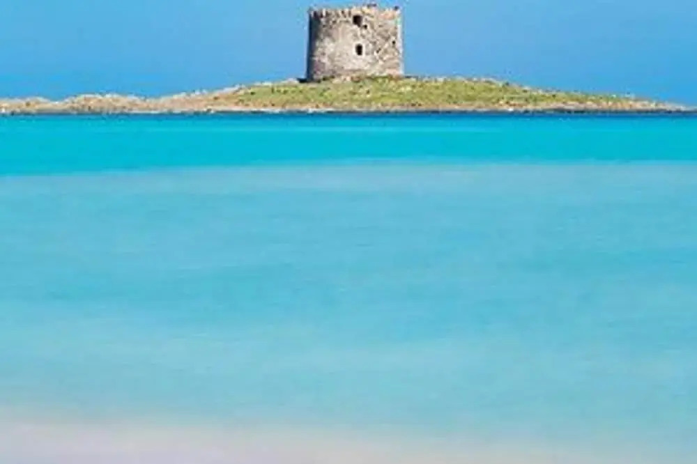 Sardinian Villa Enjoy Stintino With Your Pets !