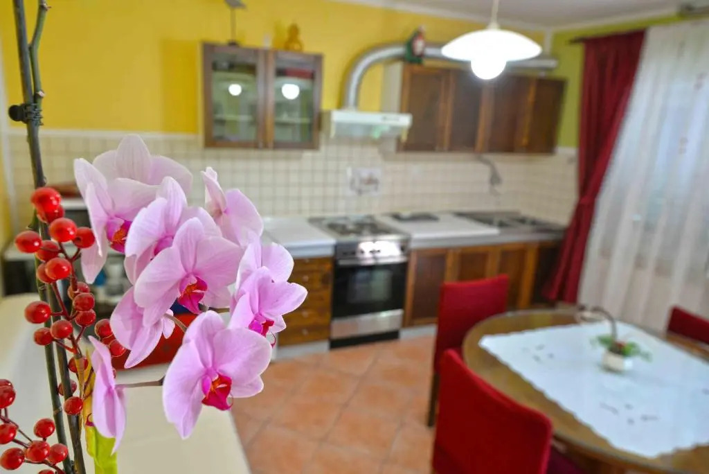 Apartment Zena