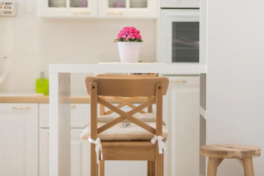 House - Apartment Dama