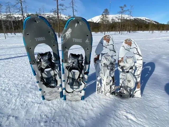 Luoston Väärtin Kammi
