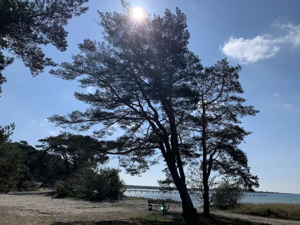 Hanöhus Strandstugor och Annex