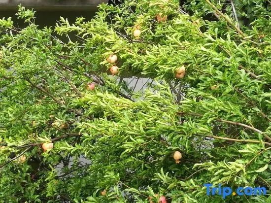 Heming Homestay (Tai'an Branch)