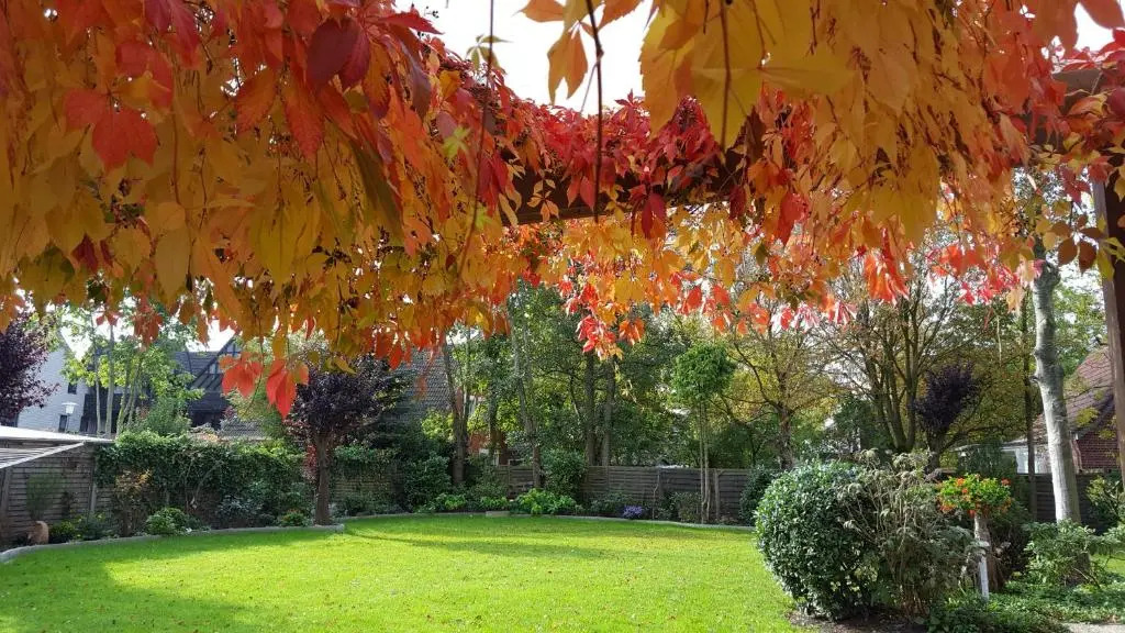 Wohnung 1 mit überdachte Terrasse zum Garten Nähe Strand und Hafen Bensersiel