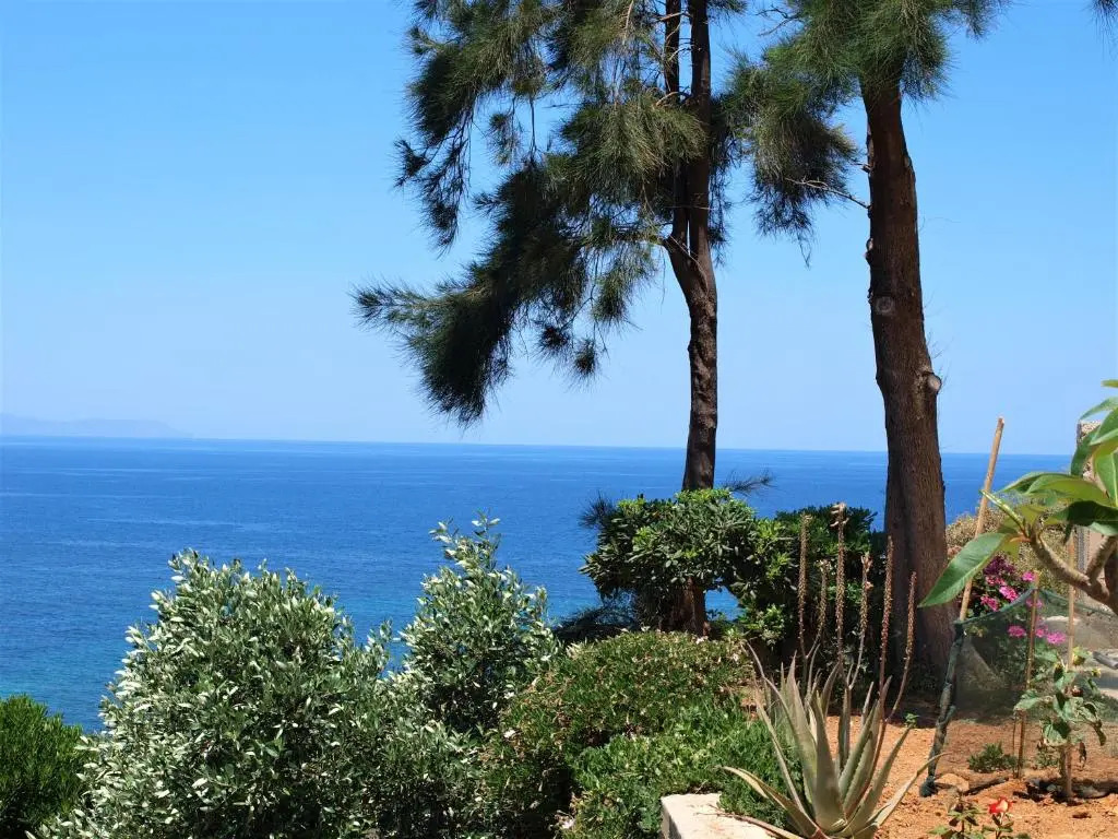 Emerald Apartment Halepa