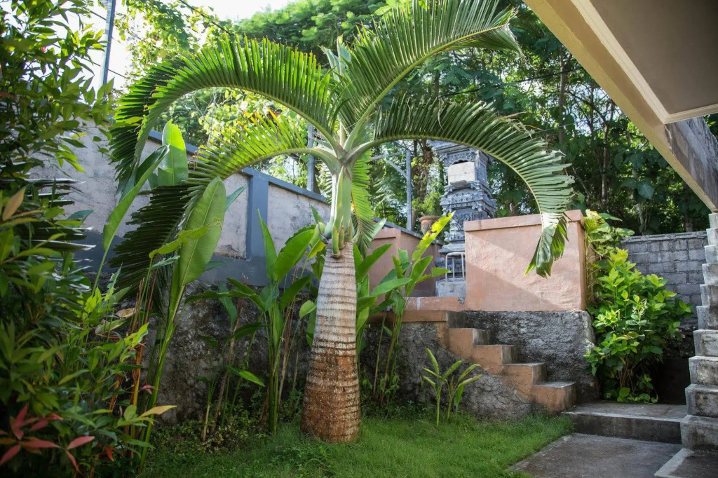 ZEN Rooms Pecatu Padang Padang Beach