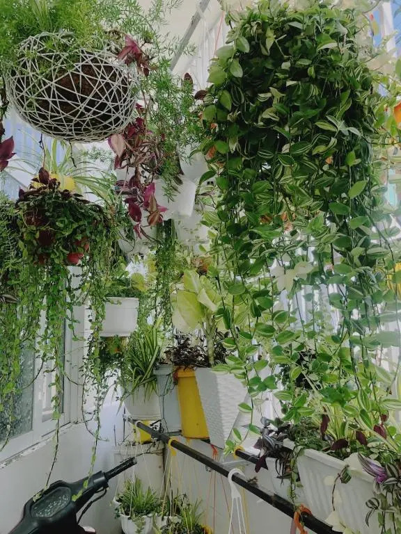 Private studio in hidden gem
