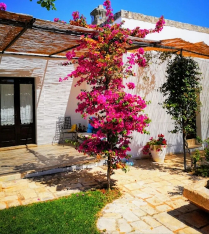 Elegant Double Room in Ancient Masseria Near the sea in a Quiet Olive Trees