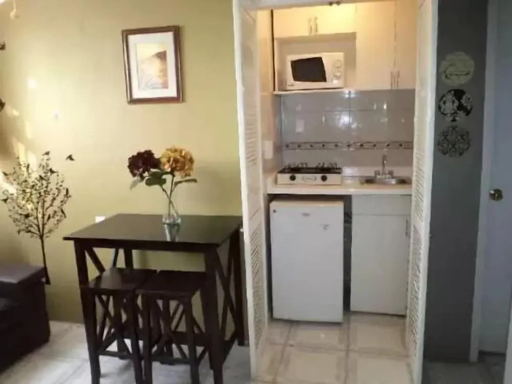 Satya Suites & Portal San Angel Flats