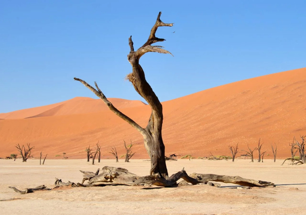 Sossusvlei Lodge