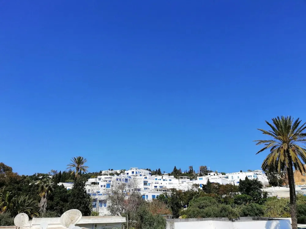 SIDI BOU SAID - Heart of the Village