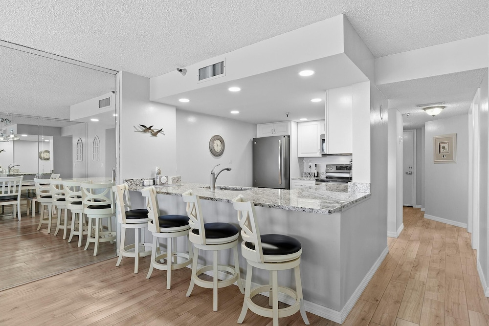Sand Dollar 501