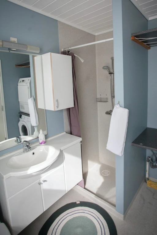 Downtown / Newly Renovated 2 Bedroom Apartment