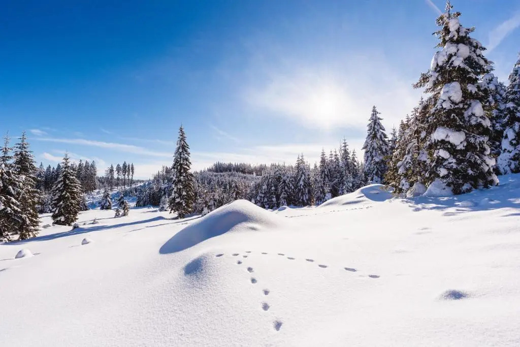 House Rogla Jurgovo a Skiin Skiout Riverside