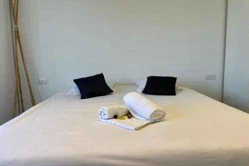 Bnb Renting Le Cèdre Spacious Studio In Cannes With A Balcony Wifi And Ac