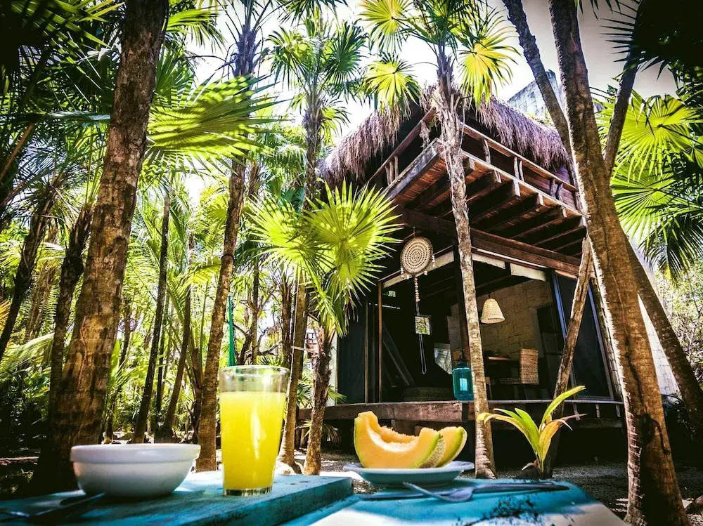 Vida Silvestre Tulum
