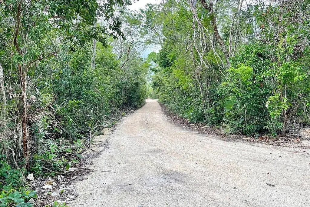 The Jungle complex experience Tulum Studio 525