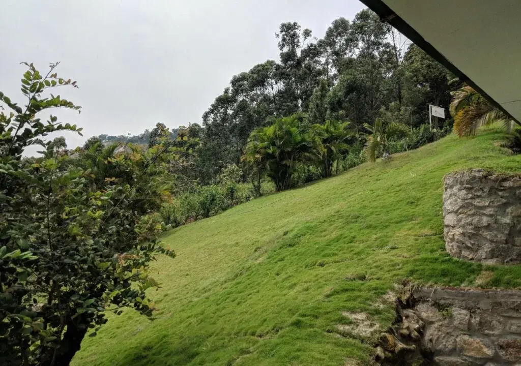 The Wind Munnar