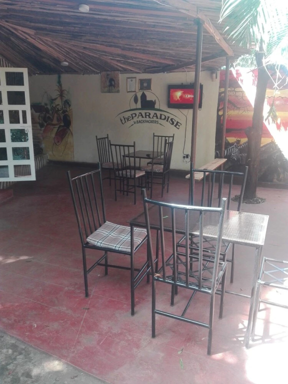 The Paradise In Backpackers