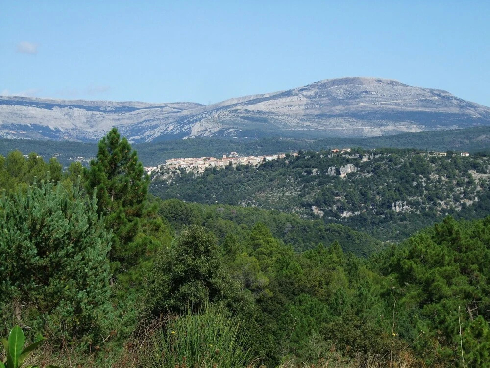 Luxury Apartment for six People in Residence in the Heart of Provence