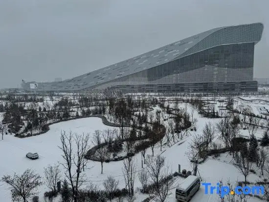 Wanda Vista   Changchun International Movie Metropolis
