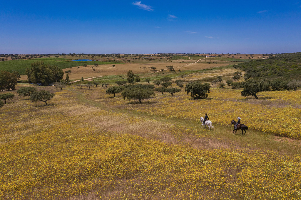 Herdade da Malhadinha Nova - Relais & Châteaux