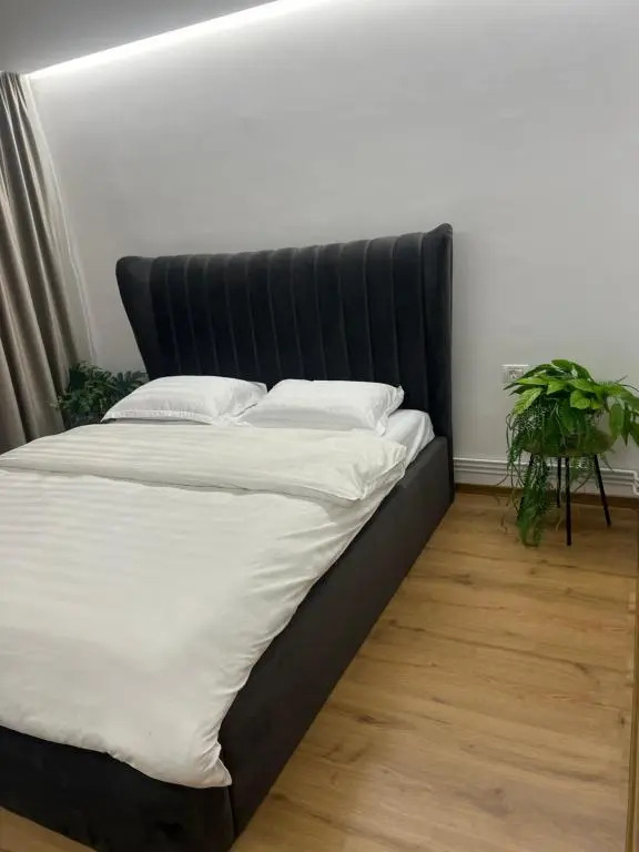Belle Apartament