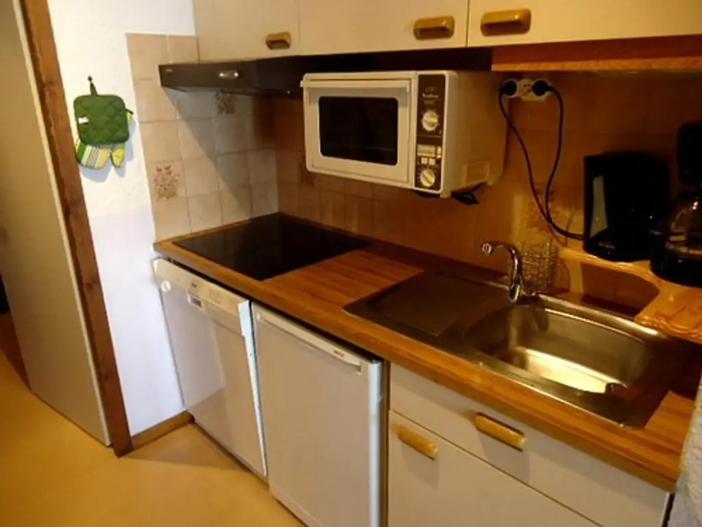 Appartement La Clusaz, 1 pièce, 5 personnes - FR-1-459-55