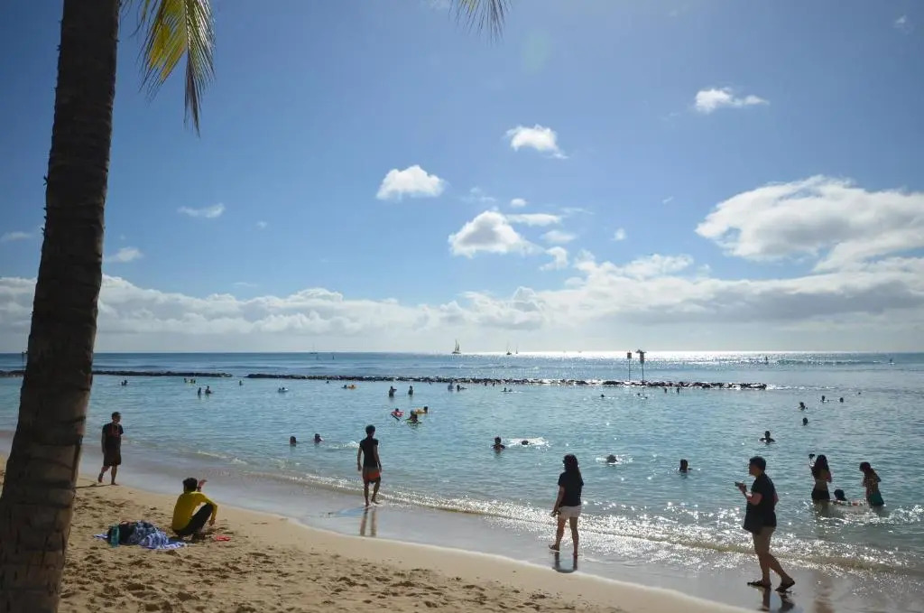 Sea Shore 75 Steps from Waikiki Beach and Sleeps 1 - 3!