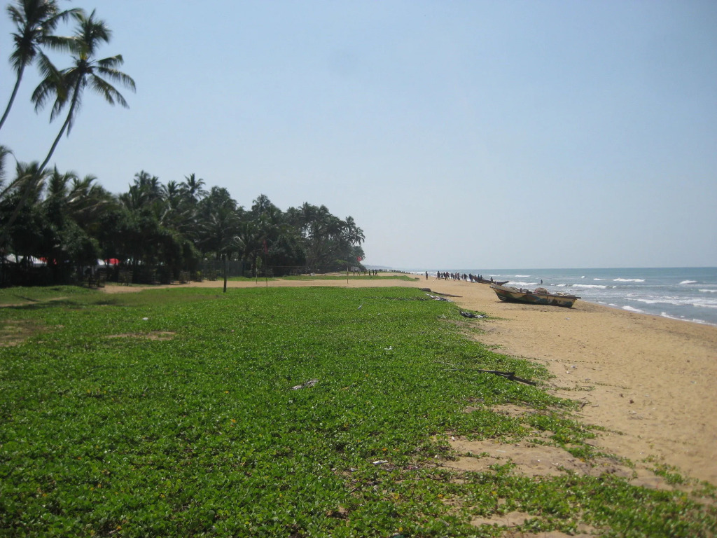 Blue Spring Hotel Wadduwa
