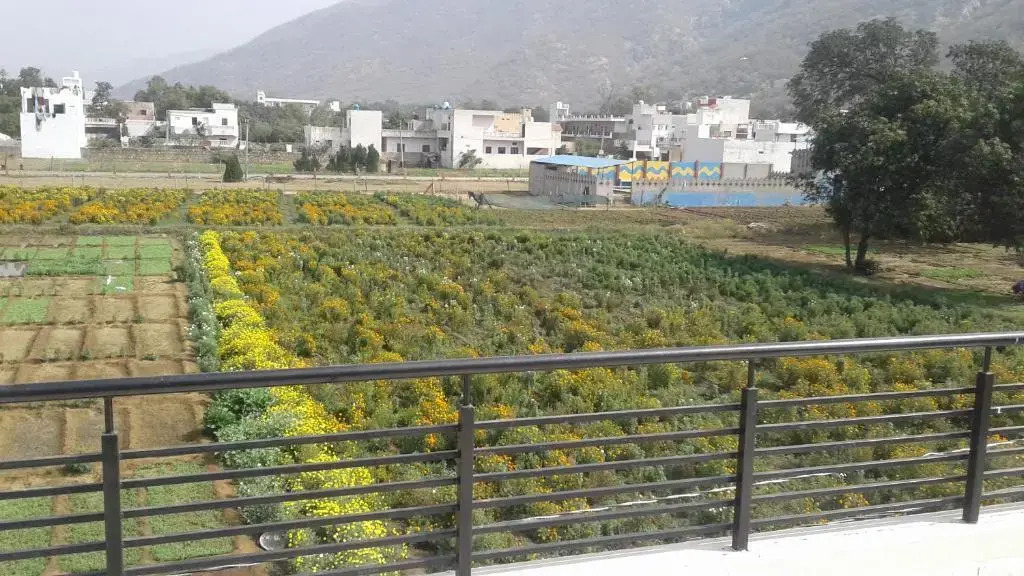 Hotel Natural View