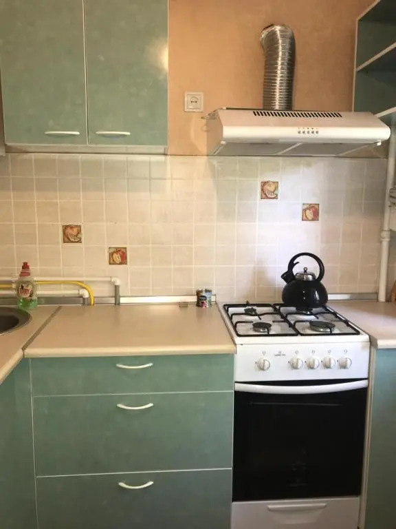 Apartment on Akhmetova 10