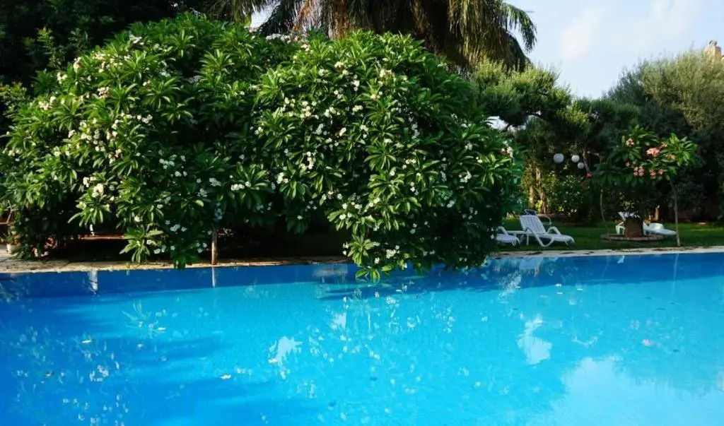 Villa Megna - Green Paradise B&B