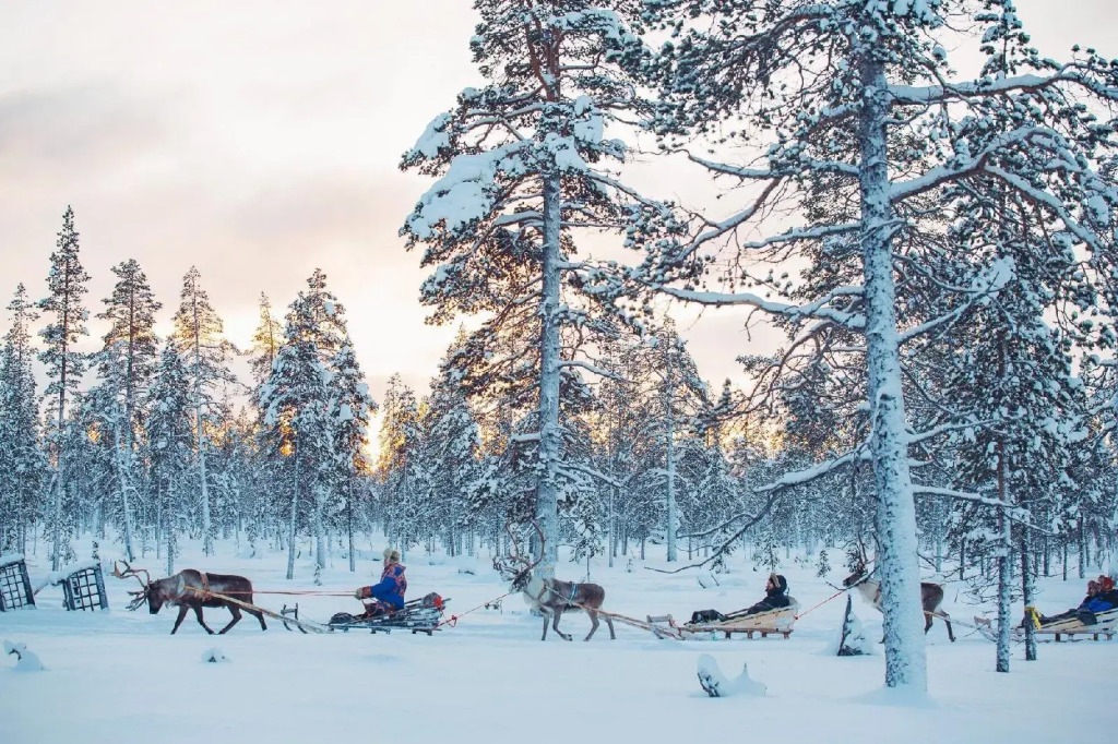 Kakslauttanen Arctic Resort - Igloos and Chalets