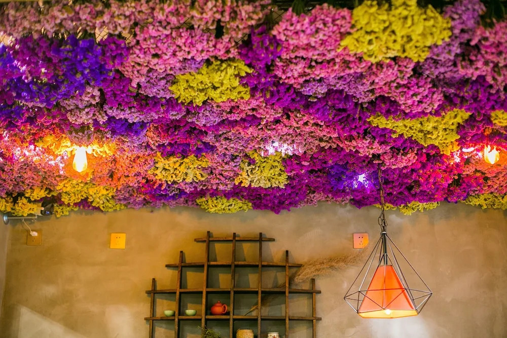 Cangwei Guesthouse
