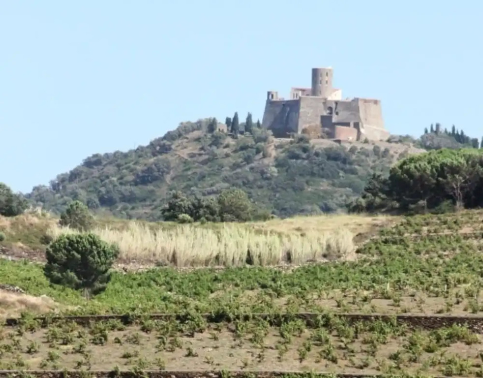 Domaine Oléicole du Mas Boutet - B&B