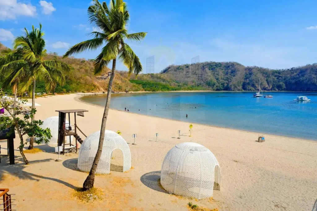 PICO DE LORO Pool Accessible CAROLA 2 Bedroom Units by SEE Condominiums