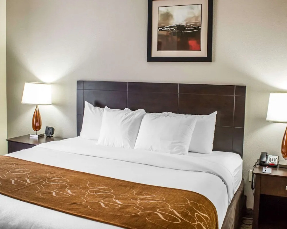 Comfort Suites Wilson