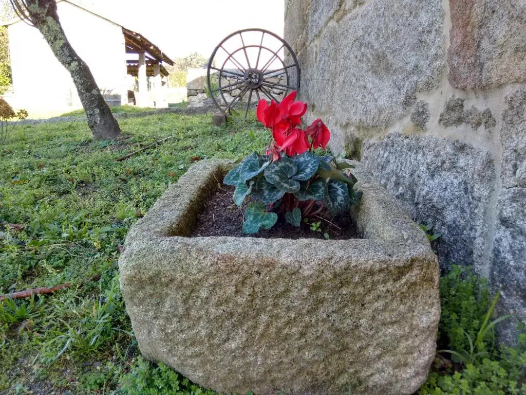A Cantaruxa Maruxa Turismo Rural