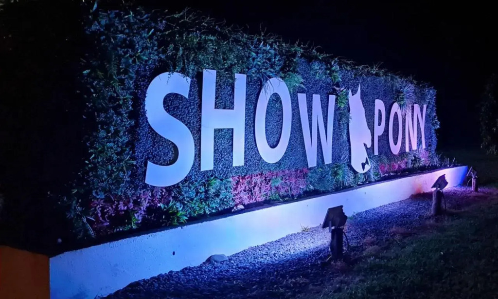Show Pony Beach Resort and Suites