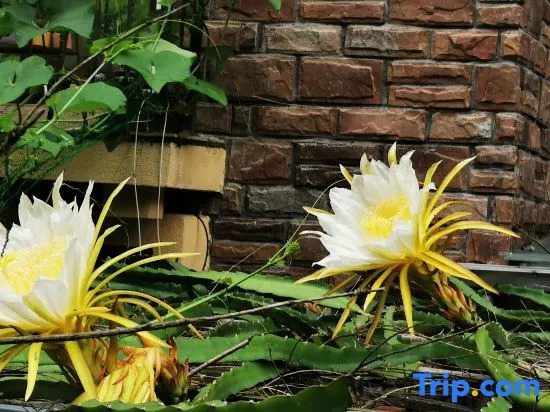 Wuchuan Dongshan Private Language Homestay