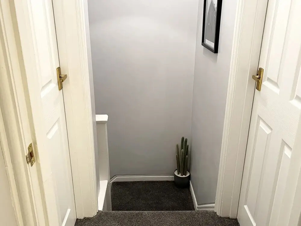Bythynnod Newydd