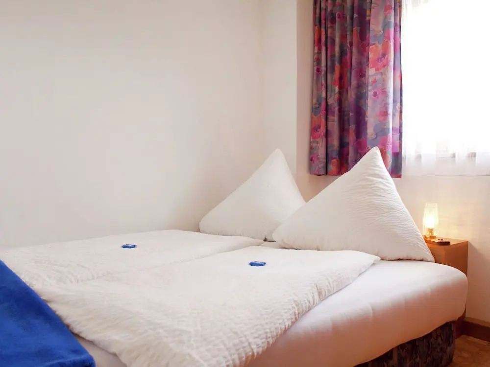 Cozy Apartment in Niedernsill near Skiing