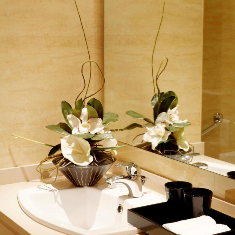 Hotel Moliceiro