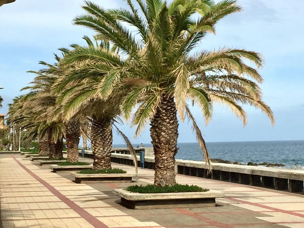 Apartment With 2 Bedrooms in Gaula, With Wonderful sea View, Balcony a
