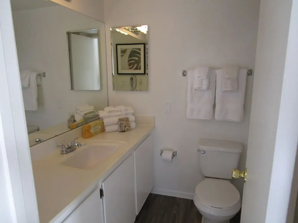 Park Suites at 239 - One Bedroom Apartment