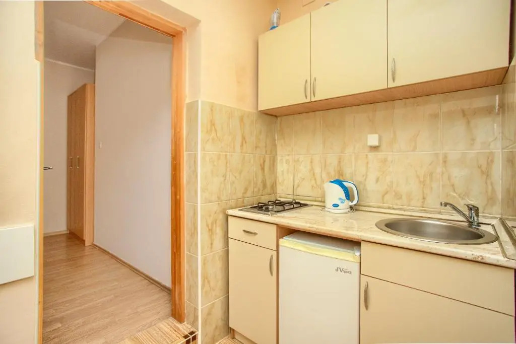Apartment Vladan